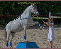 1-13JUIN 0943